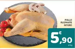Conad POLLO RUSPANTE INTERO offerta