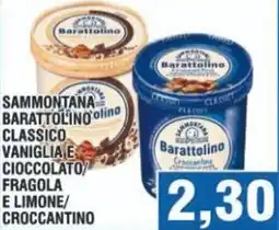 Bitar Sammontana barattolino classico vaniglia e cioccolato/ fragola e limone/ croccantino offerta