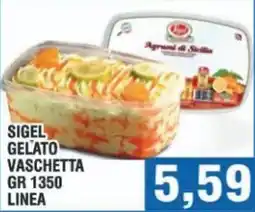 Bitar Sigel gelato vaschetta offerta