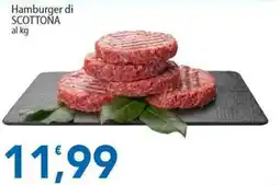 Sidis Hamburger di SCOTTONA offerta