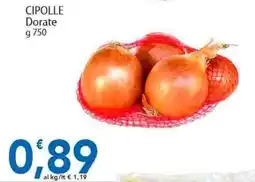 Sidis CIPOLLE Dorate offerta