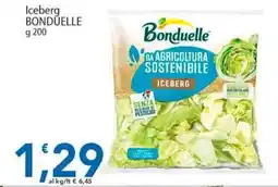 Sidis Iceberg BONDUELLE offerta