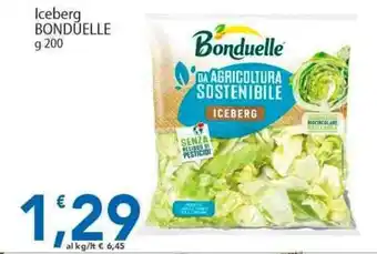 Sidis Iceberg BONDUELLE offerta