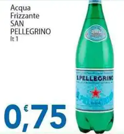 Sidis Acqua Frizzante SAN PELLEGRINO offerta