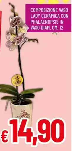 Galassia Composizione vaso lady ceramica con phalaenopsis in vaso diam. cm. 12 offerta