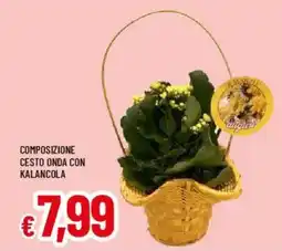 Galassia Composizione cesto onda con kalancola offerta