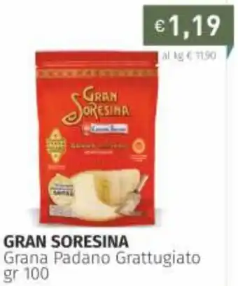 Prezzemolo e Vitale Gran Soresina Grana Padano Grattugiato 100gr offerta
