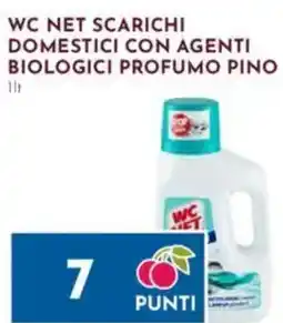 Pan Wc net scarichi domestici con agenti biologici profumo pino offerta