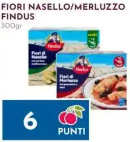 Pan Fiori nasello/merluzzo FINDUS offerta