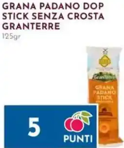 Pan Grana padano dop stick senza crosta GRANTERRE offerta