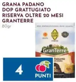 Pan Grana padano dop grattugiato riserva oltre 20 mesi GRANTERRE offerta