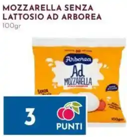 Pan Mozzarella senza lattosio ad ARBOREA offerta
