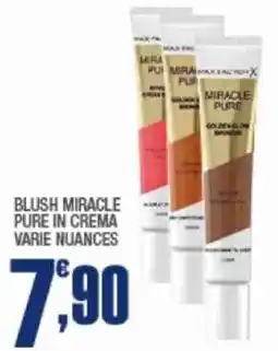 Splendidi e Splendenti Blush miracle pure in crema varie nuances offerta