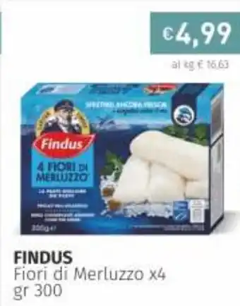 Prezzemolo e Vitale Findus Fiori di Merluzzo x4 300g offerta