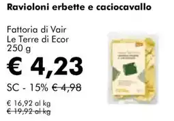 NaturaSì Ravioloni erbette e caciocavallo Fattoria di Vair Le Terre di Ecor offerta