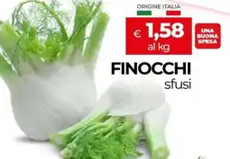 Unicoop Finocchi sfusi offerta