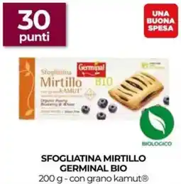Unicoop Sfogliatina mirtillo GERMINAL BIO offerta