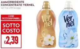 Pan Ammorbidente concentrato VERNEL offerta