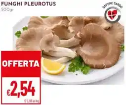 Pan Funghi pleurotus offerta