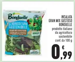 Conad Insalata Gran Mix Gustoso Bonduelle offerta