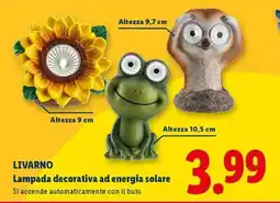 Lidl LIVARNO offerta
