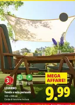 Lidl LIVARNO offerta