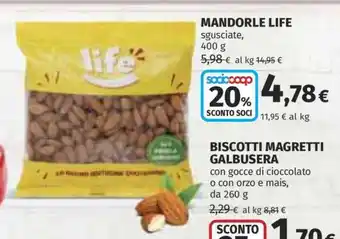 MANDORLE LIFE