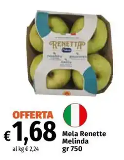 Carrefour Express Mela Renette Melinda offerta