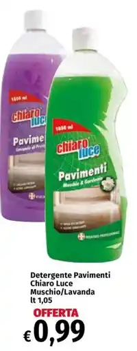 Carrefour Express Detergente Pavimenti Chiaro Luce Muschio/Lavanda offerta