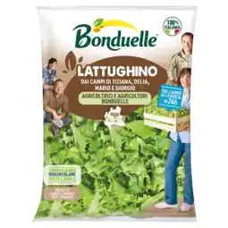 Deco Supermercati BONDUELLE offerta