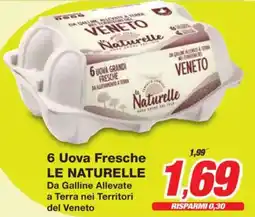 Prix Quality 6 Uova Fresche LE NATURELLE Da Galline Allevate a Terra nei Territori del Veneto offerta