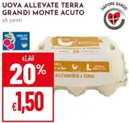 Pan Uova allevate terra grandi monte acuto offerta