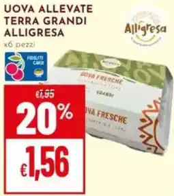 Pan Uova allevate terra grandi ALLIGRESA offerta