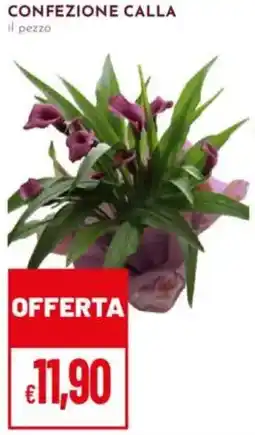 Pan Confezione calla offerta