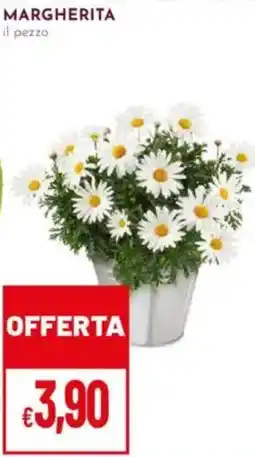 Pan Margherita offerta