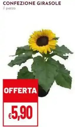 Pan Confezione girasole offerta