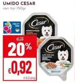 Pan Umido CESAR offerta