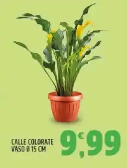 Ard Discount Calle colorate vaso ø 15 cm offerta