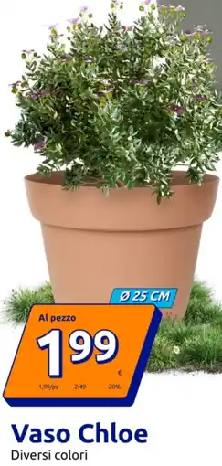 Action Vaso Chloe offerta