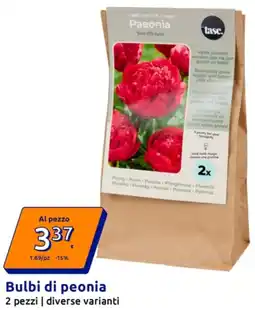 Action Bulbi di peonia offerta
