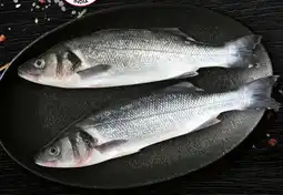 Bennet Calamaro indopacifico decongelato offerta