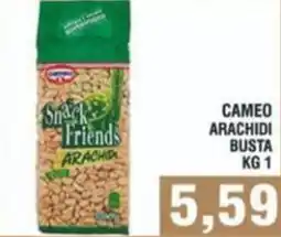 Bitar Cameo arachidi busta offerta