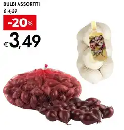 Bennet Bulbi offerta