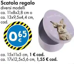 Tedi Scatola regalo offerta