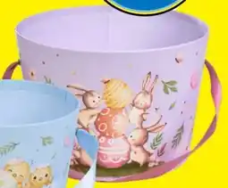 Tedi Cesto regalo offerta