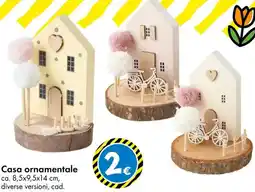 Tedi Casa ornamentale offerta