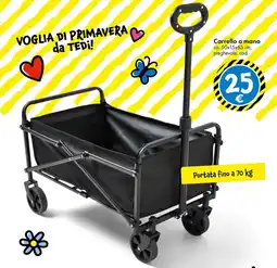 Tedi Carrello a mano offerta