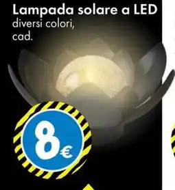 Tedi Lampada solare a LED offerta