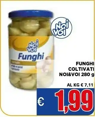 Vivo Supermercati Funghi coltivati offerta