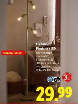 Lidl LIVARNO Piantana a LED offerta
